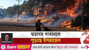 এখন গাড়ী