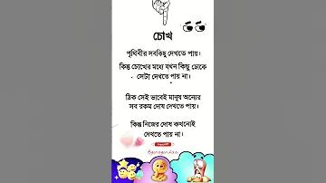 কাউন্টি চ্যাম্পিয়নশিপের পয়েন্ট কত