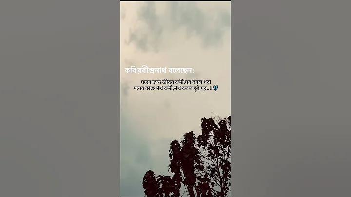 আর্জেন্টিনা ভিসা ব্রাজিল ট২৩ লাইভ