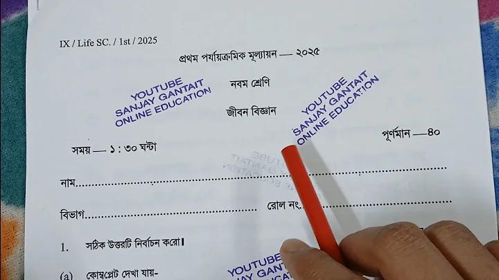 পিজি 999স্লট