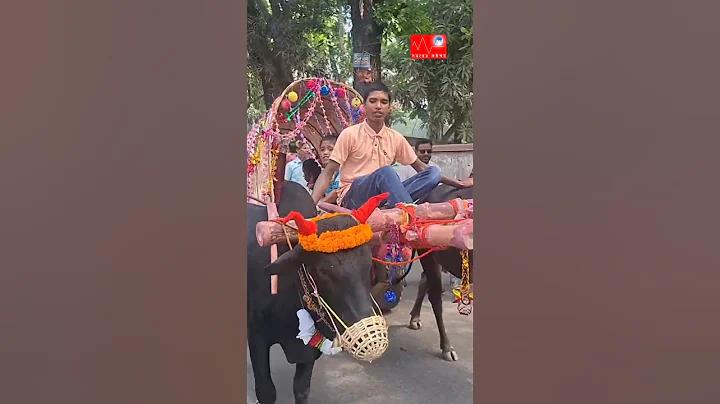 রাজা বাজি খেলা