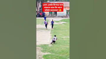 এমজিএম স্লটের সংগ্রহ