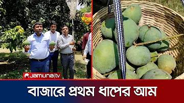 আইপিএল দলের তালিকা 2025
