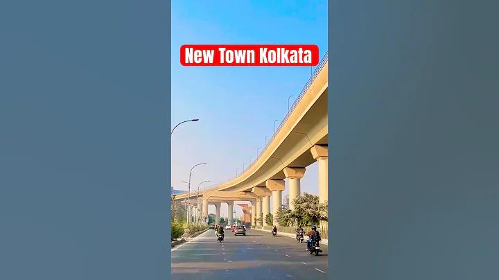 বিকাশ ফরম