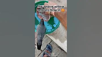 বিউটি প্লাস অ্যাপ