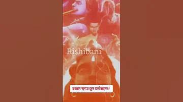 বাংলাদেশ ভিসা আয়ারল্যান্ড লাইভ স্কোর