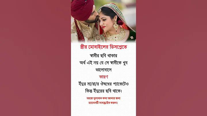 স্টট ইনেট