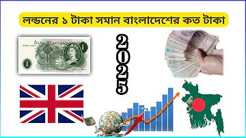 প্রো গেম বিড়াল
