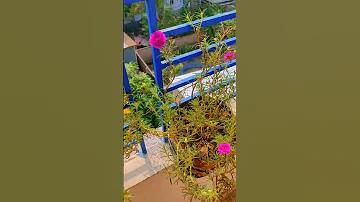 অগ্রণী ব্যাংকের মাস্টার রোল চাকরি