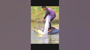 বর্তমানে কি কি চাকরির আবেদন চলছে