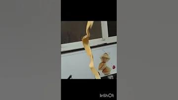 গাজীপুর সিটি নির্বাচনের ফলাফল লাইভ