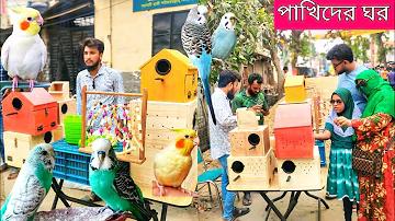 অস্ট্রেলিয়ার সবচেয়ে বিখ্যাত ক্রিকেটার কে