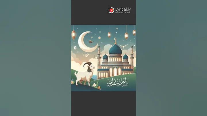 ২টি শূকর সামনের দিকে
