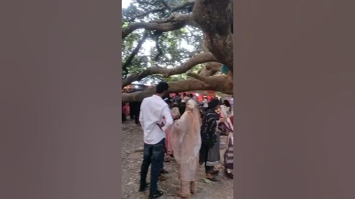 জামুকার সর্বশেষ খবর ২০২৩