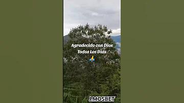 উইন ২ অঙ্ক