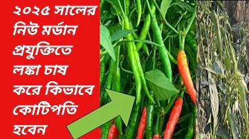 ক্রেডিট ফ্রি সুপারস্লট