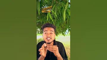 ক্যাসিনো স্লটে জিতুন