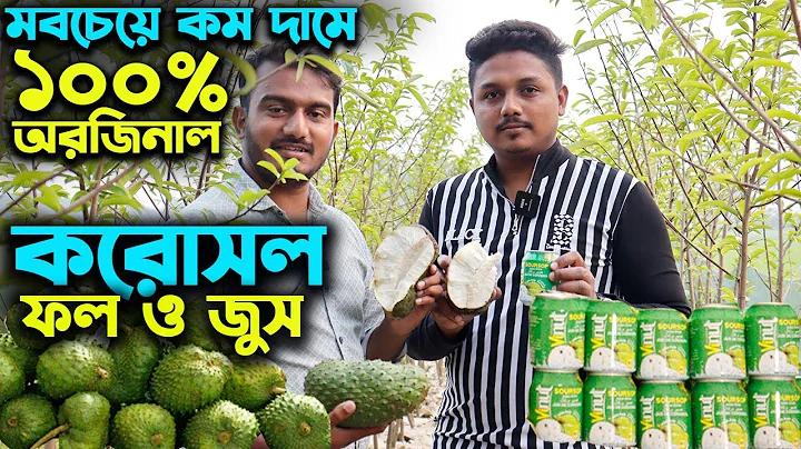 সল্টি মায়ান যাদুর আগুন