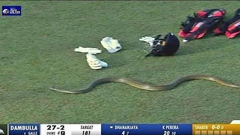 ওয়েব স্লট নতুনতম, জমা এবং তোলায় কোনো সীমা নেই