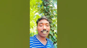 স্টাম্প রিমুভার কি কাজে লাগে