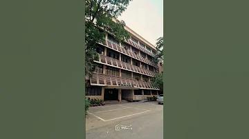 ফেংসিন জেআইএলআই