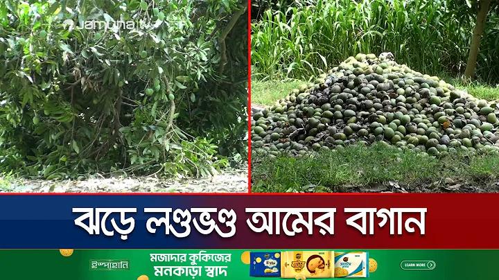 স্লট সব ক্যাটাগরি, সরাসরি ওয়েব, এজেন্ট সেবা ছাড়াই ২০২১
