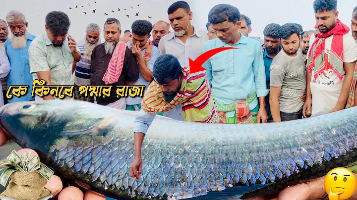 টিকেট লাইভ ভিডিও