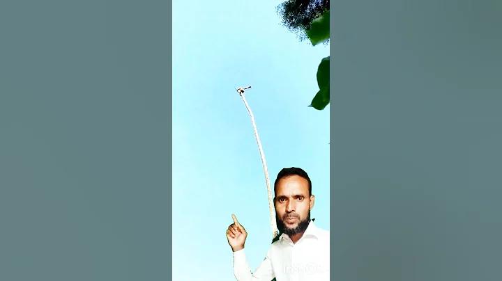 স্লট গেমে প্রবেশ করার পদ্ধতি