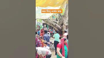 ওয়েব স্লট ওয়ালেট লোড করুন