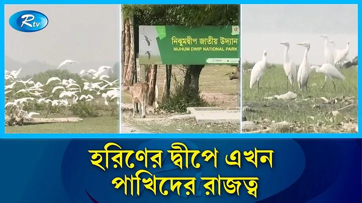 খবর ডানা