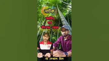 বিনোদন সমার্থক
