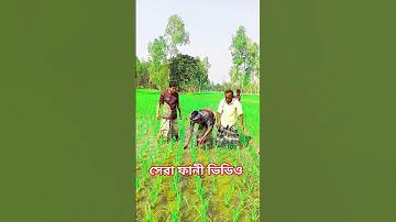 ক্যাসিনো | Casino News