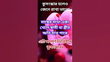 অস্ট্রেলিয়া ক্রিকেট লাইভ