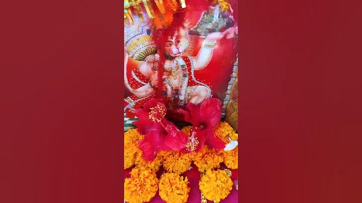 প্রাকৃতিক মাছ ধরা 2565