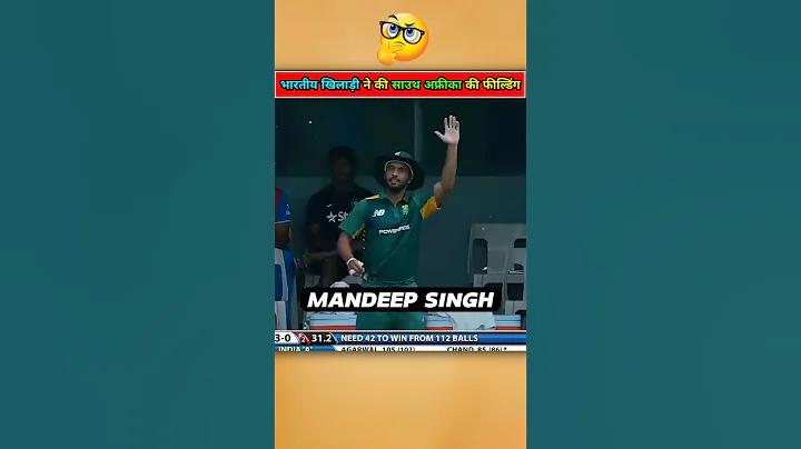 খোলা লাইভ