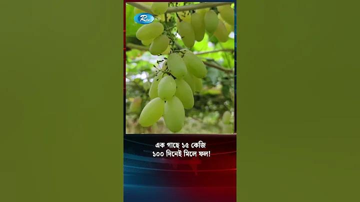 উনিশ শতকে বিজ্ঞান শিক্ষার বিকাশ কিরূপ ছিল