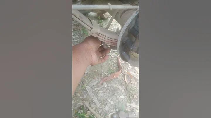 এস্পন লাইভ ক্রিকেট