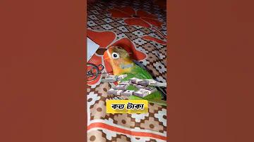 2023 সালের পঞ্জিকা বিবাহ তারিখ ও লগ্ন