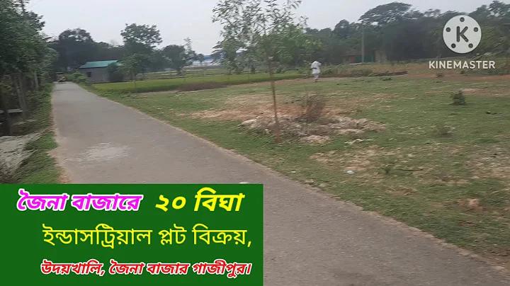 বিশ্ব ভালোবাসা দিবস