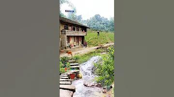 অনলাইন গেমিং ওয়েবসাইটের পৃষ্ঠা