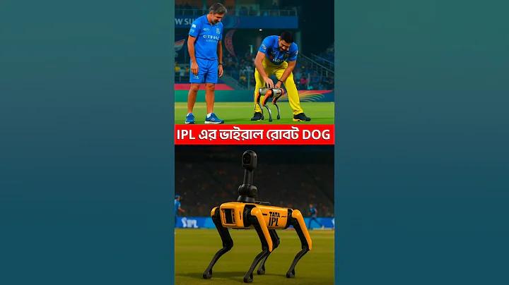 ওয়েব ফ্রি স্লট পিজি পরীক্ষা করুন