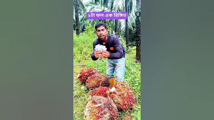 ২০,০০০ স্লট, বাস্কেটবল 5x5