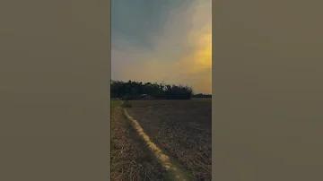 কোপা আমেরিকা ব্রাজিলের লাইভ খেলা