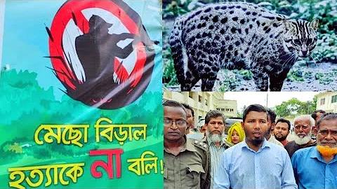 লটারি হল