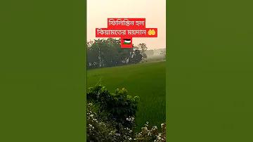5 ফেরত