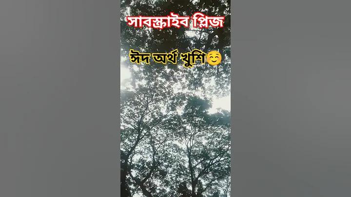 ড্রাগন ফালা অনলাইন লটারি