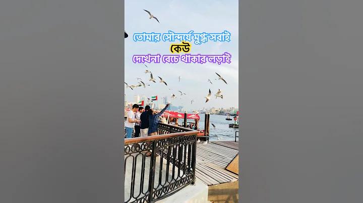 ঢিল