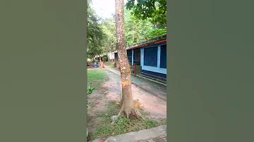 শিল্পী নন্দলাল বসু কার ছাত্র ছিলেন