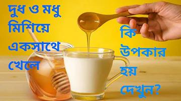 পক্কোডেং থাইল্যান্ড