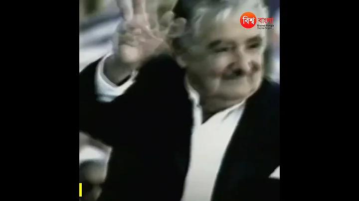 এন টিভি চ্যানেল লাইভ